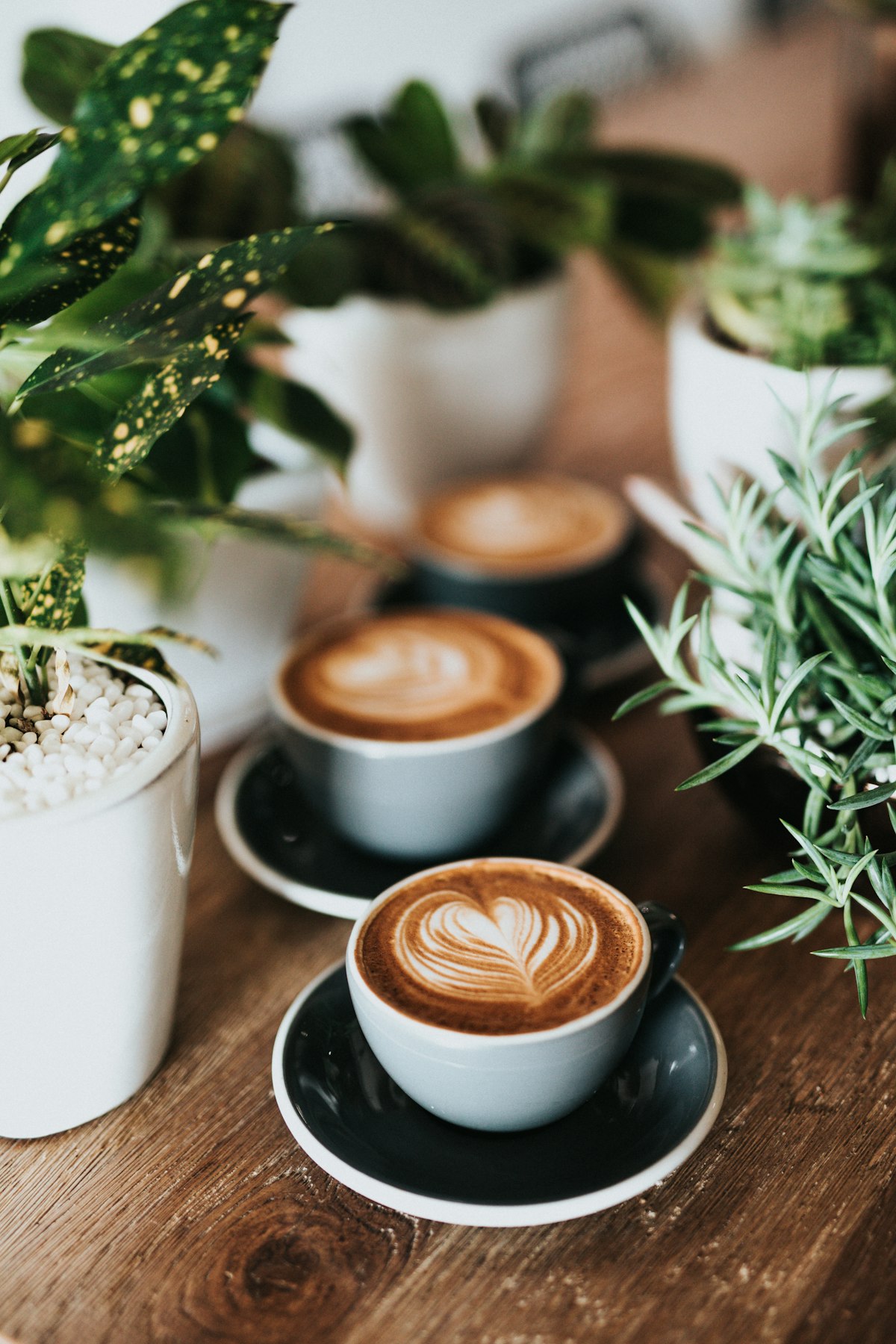 Coffee cups and takeout containers — everyday purchases that drain money