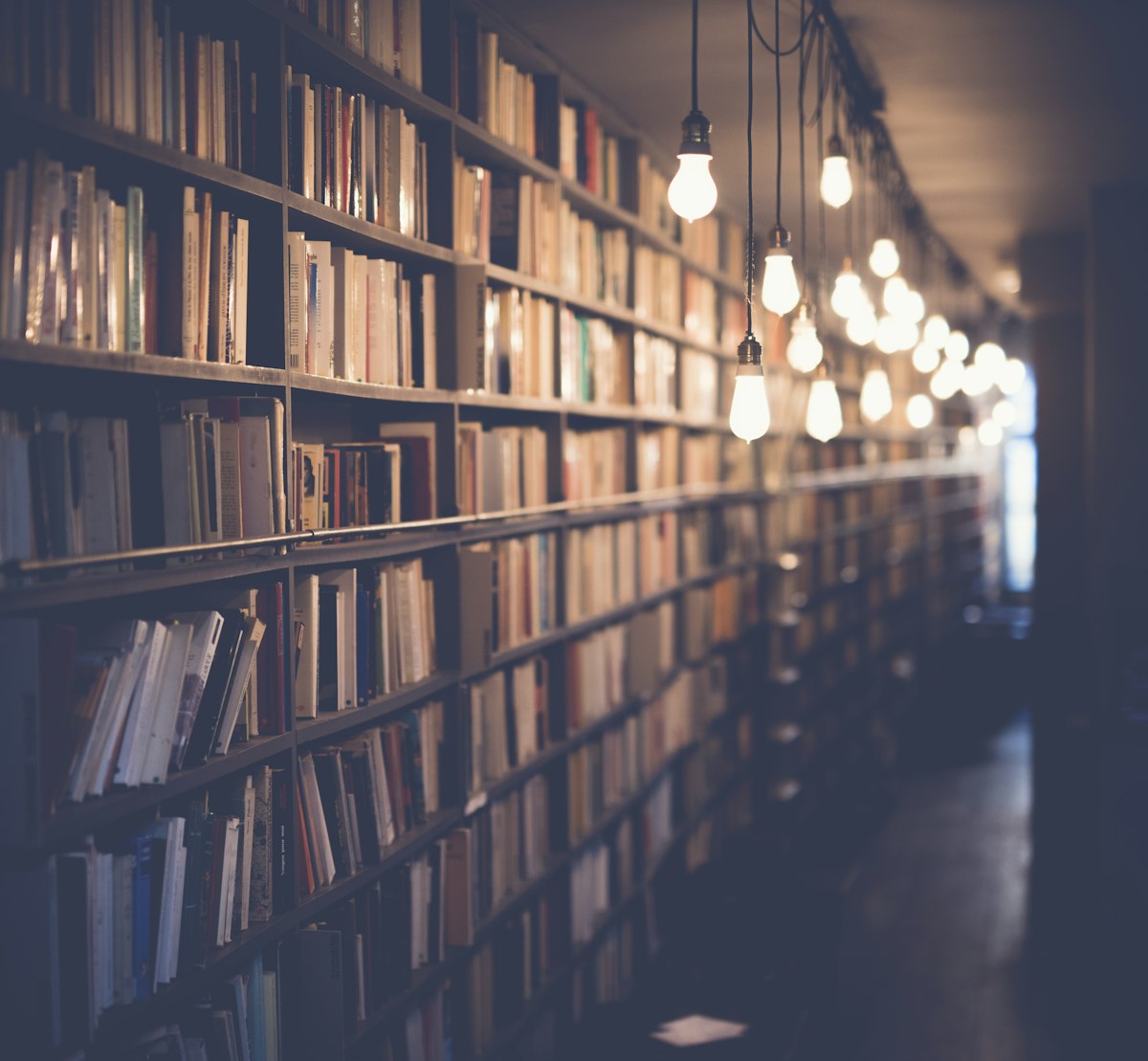 Person reading a book in a library — free activities during no spend challenge
