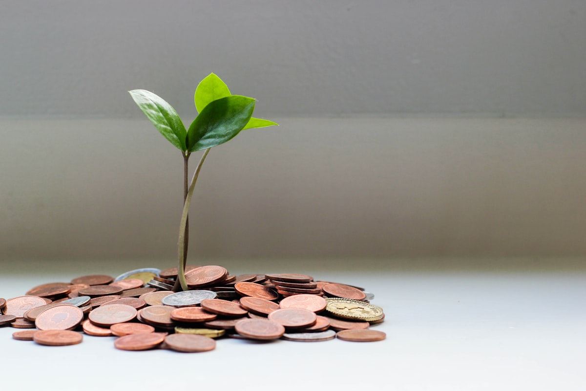 how to build an emergency fund